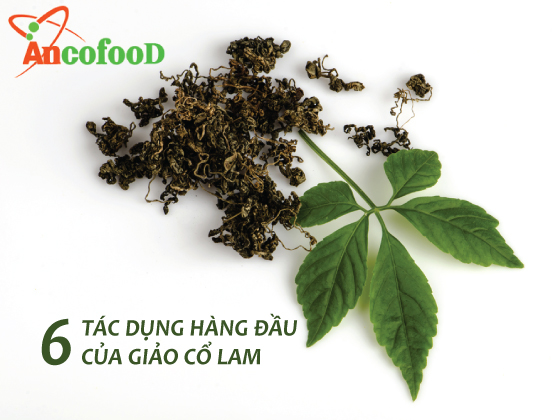 6 tác dụng hàng đầu của giảo cổ lam giúp chữa bệnh tốt nhất 