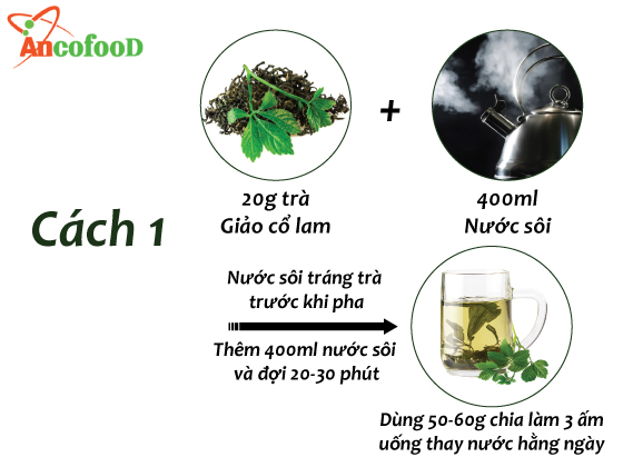 Cách dùng giảo cổ lam pha trà đúng cách và những điều nên lưu ý 