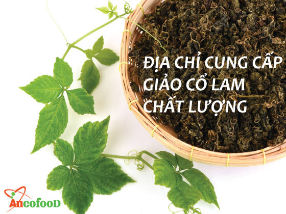 Địa chỉ cung cấp giảo cổ lam chất lượng tốt?