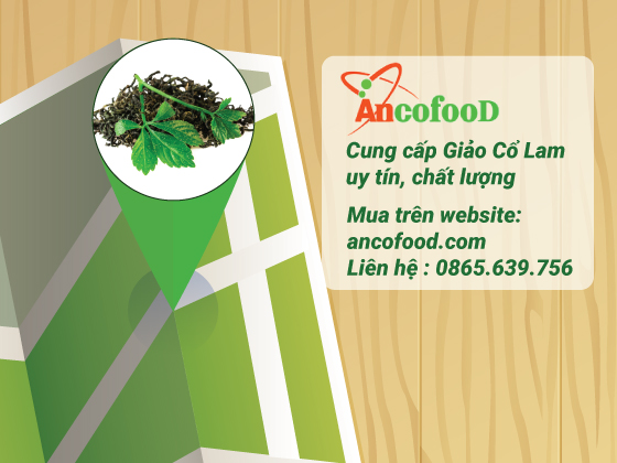 Địa chỉ cung cấp giảo cổ lam chất lượng tốt?