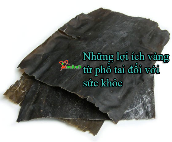 những lợi ích vàng từ phổ tai đối với sức khỏe