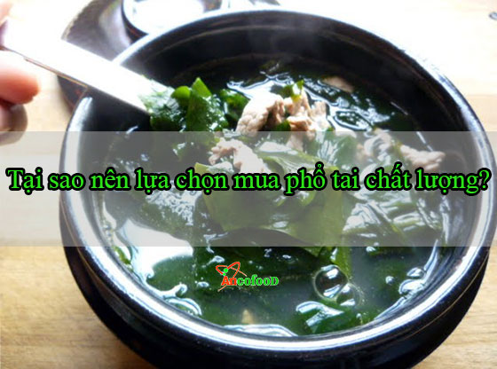 địa chỉ mua phổ tai chất lượng