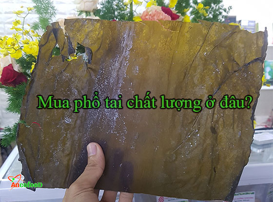 mua phổ tai chất lượng ở đâu?