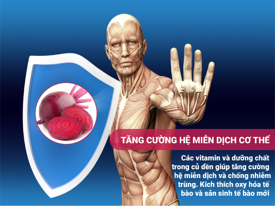 Lợi ích của bột củ dền trong chăm sóc sức khỏe và làm đẹp