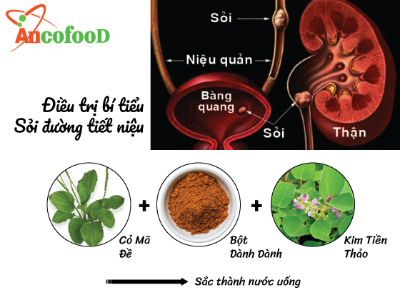 6 công dụng của bột dành dành trong y học và một số bài thuốc quý trị bệnh 