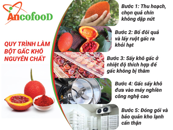 Bột gấc khô – nguồn thực phẩm giàu dưỡng chất