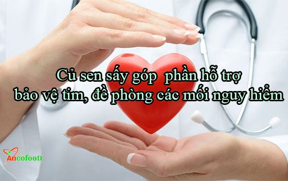 Công dụng của củ sen sấy trong y học giúp bạn luôn khỏe đẹp