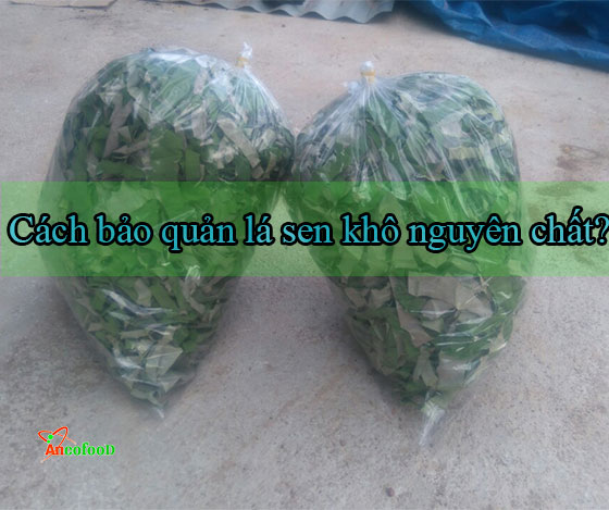 địa chỉ mua lá sen khô