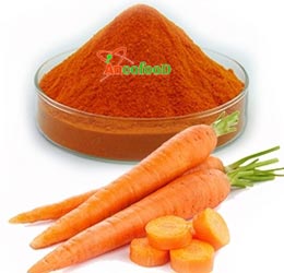 Bột cà rốt khô nguyên chất hàng chất lượng
